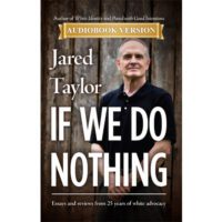 If We Do Nothing - Audiobook